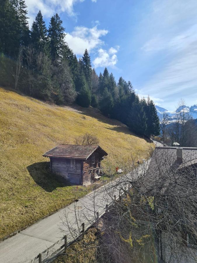 Traditional Chalet In Wengen - Top Floor Apartment Luaran gambar