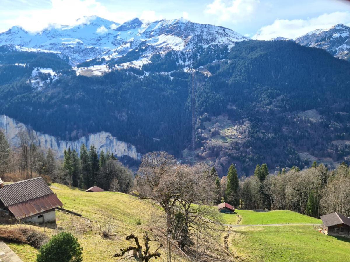 Traditional Chalet In Wengen - Top Floor Apartment Luaran gambar