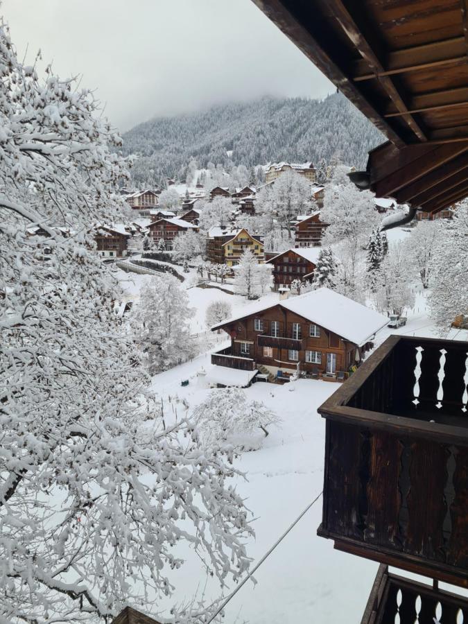 Traditional Chalet In Wengen - Top Floor Apartment Luaran gambar