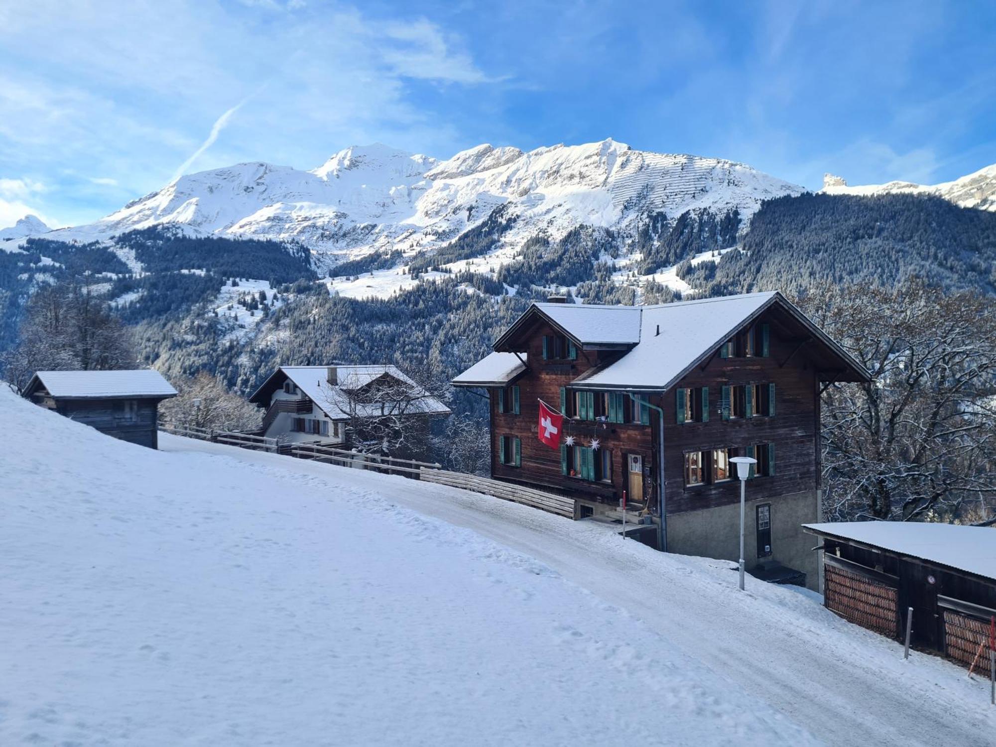 Traditional Chalet In Wengen - Top Floor Apartment Luaran gambar