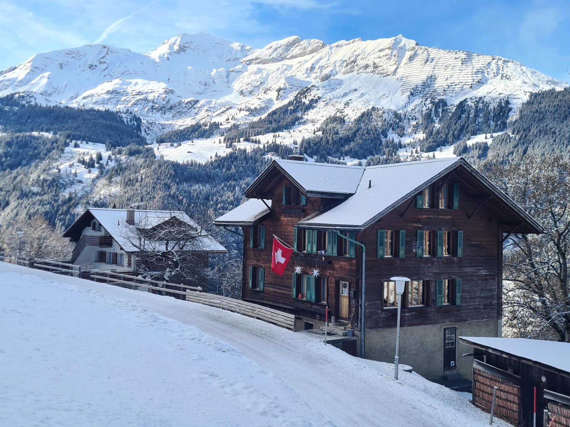 Traditional Chalet In Wengen - Top Floor Apartment Luaran gambar